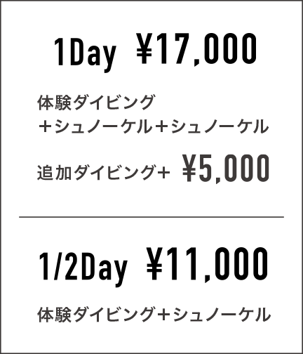 1Day ¥16,500 体験ダイビング＋シュノーケル＋シュノーケル 追加ダイビング＋¥5000　1/2day ¥11,000 体験ダイビング＋シュノーケル
