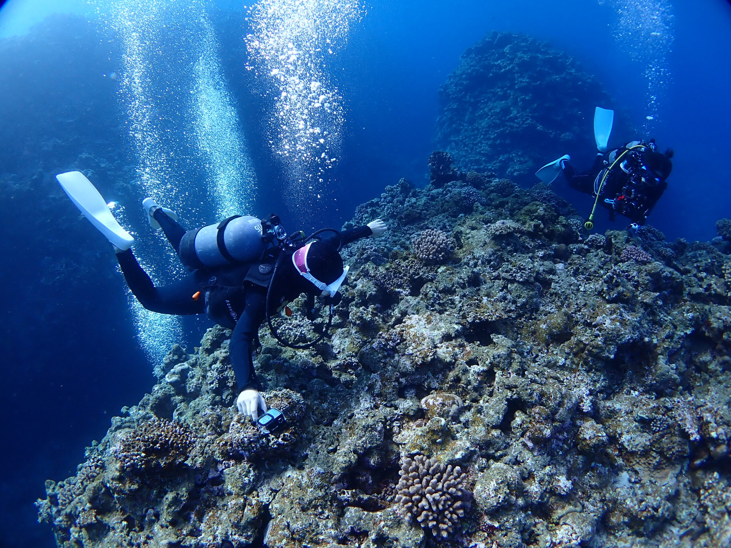 FUN DIVING