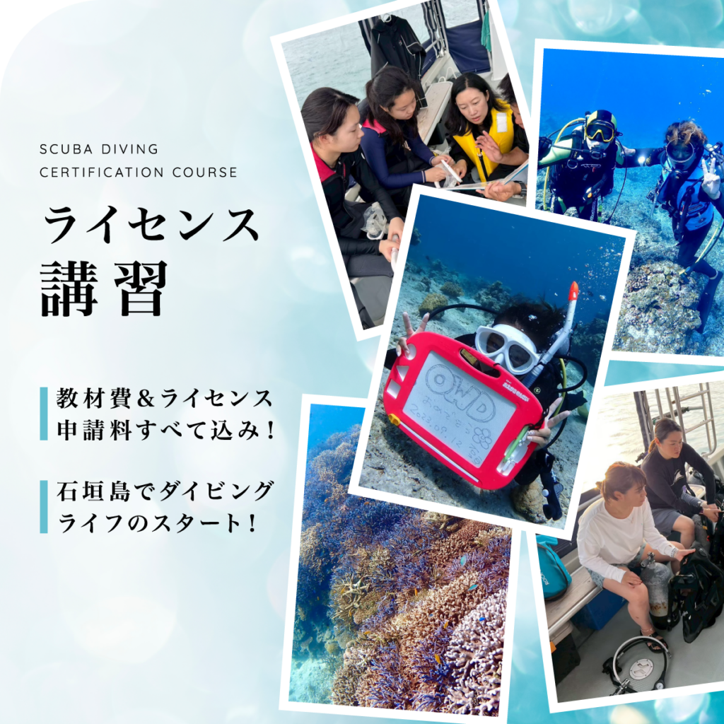 ライセンス講習